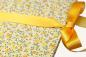Preview: "Vroni" leporello, orange yellow